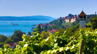Vineyards in Meersburg at Lake Constance